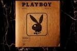 Убытки Playboy составили $1,1 млн
