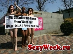 В Сеуле прошел «голый марш» активисток PETA (Фото)